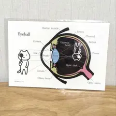 紬 ✴︎断捨離中✴︎様 リクエスト 3点 まとめ商品