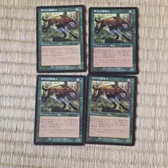 MTG 野生の雑種犬/Wild Mongrel 英4枚 - メルカリ