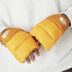 Item thumbnail for item 146215c0-c269-4243-8e37-fec126994533