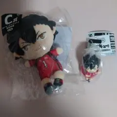 ハイキュー!!　黒尾鉄朗　ぬいもっちマスコット