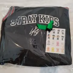 straykids エコパ アプグレ ペインティングシール