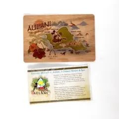 アウラニ・ディズニー　ピンバッジ＆ポストカード　2点セット