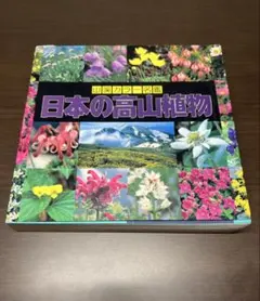 Item thumbnail for item 98fd140a-fcb6-4ce3-be32-4bc7d3d56e04