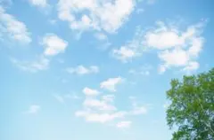 のりさん専用