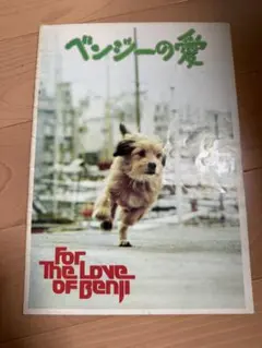 2025年最新】ベンジーの愛の人気アイテム - メルカリ