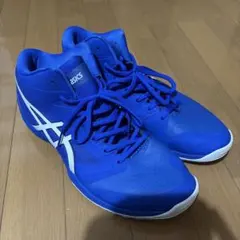ASICS 屋内シューズ ブルー ハイカット 28cm バレーボール