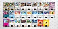 構築済みデッキ Nのゾロアーク デッキ シークレットボックス型 変化の