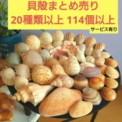 あむちゃん☺︎プロフ必読(*´꒳`*)様 リクエスト 2点 まとめ商品