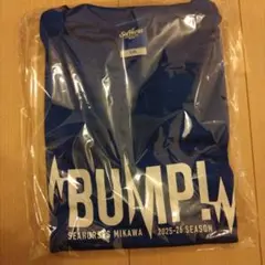 シーホース三河 ファンクラブ 2025-26 Tシャツ XXL