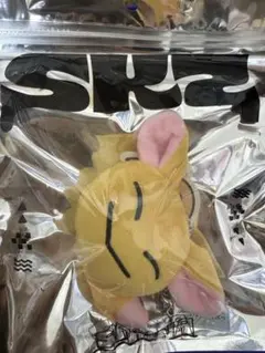 2025年最新】stray kids バッグチャームの人気アイテム - メルカリ