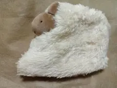 Item thumbnail for item c84d387d-0c08-4a34-90bb-af11317b8167