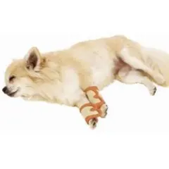 Item thumbnail for item e5163ee0-198e-4b2e-8cb1-0c2aeceb36ea