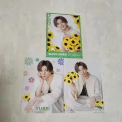 FANTASTICS 八木勇征 フォトカ シクレ セット