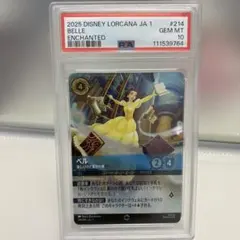 2026年最新】ロルカナ psaの人気アイテム - メルカリ