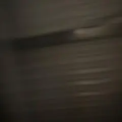 リン様　塗装修正