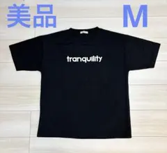 【美品】PARK STREET 半袖 Tシャツ M ブラック