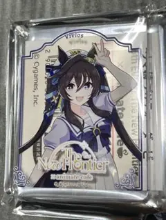 【匿名配送】ヴィブロス コロッタ