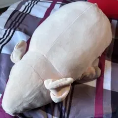 LIV HEART nemu nemu animals 豚　抱き枕