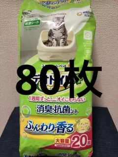 Item thumbnail for item 9caf1543-1b15-4bbe-bcbd-41e06dd1f9c7