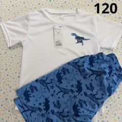 ⑤120、新品‪☆恐竜プリントラッシュサーフパンツセット【定価税込3938円】