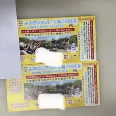 よみうりランド 入園ご招待券 2枚セットのサムネイル