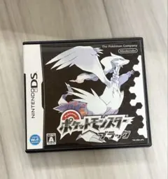 【動作確認済み】ポケットモンスター ブラック DSカセット レアポケモン複数所持