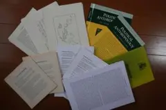 洋書切り離し100頁＆表紙（英語、フランス語、スペイン語、ドイツ語、ラテン語）