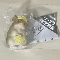 みぃ様 リクエスト 2点 まとめ商品