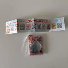 サンリオキャラクターズ　シャカシャカ　フレークシール風チャーム　ハンギョドン