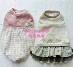 kaerubiyori様専用