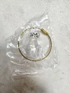 Item thumbnail for item 00723948-f1c3-4ac5-86dd-62b45551c592