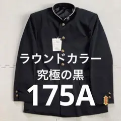 2025年最新】学ラン175aの人気アイテム - メルカリ