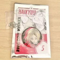 ハイキュー 孤爪研磨 缶バッジ＆特製ホルダーコレクション