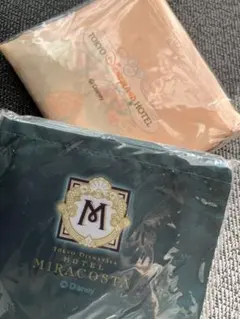 【新品・未開封】東京ディズニーランドホテル　ミラコスタ エコバッグ2点セット