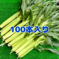100サイズ 厳選 茨城県産 新鮮 ヤングコーン ベビーコーン[100本