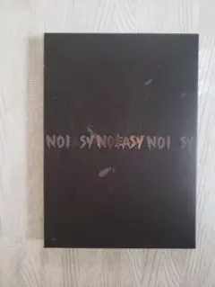 stray kids スキズ アルバム　 NOEASY