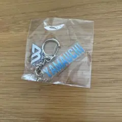 バレーボール スポーツ選手