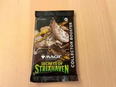 mtg 超稀少 エラーカード ピリ辛オートミールピザ プロモ FOIL mtg 超稀少 フルFOIL プロモ 2枚 ピリ辛オートミールピザ 食料配達人