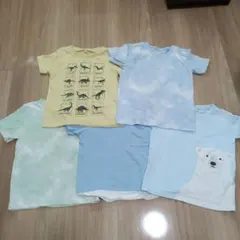 Tシャツ5枚セット 110