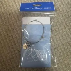 ブレスレット　ブルーエバーアフター　TDR