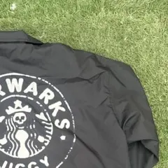 スケーターファッション パーカー