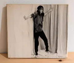 【ベスト盤】Patti Smith LAND 1975-2002 2枚組CD