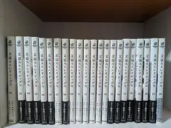 文豪ストレイドッグス 1~22巻セット