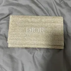 Dior ストロー クラッチバッグ ポーチ　ノベルティ