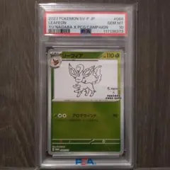 2026年最新】nagaba リーフィア psa10の人気アイテム - メルカリ