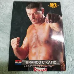 K-1 トレーディングカード　1997年(値段適当にしてますので交渉お願いします ☄ K-1 トレーディング カード 1997 レギュラーコンプリート