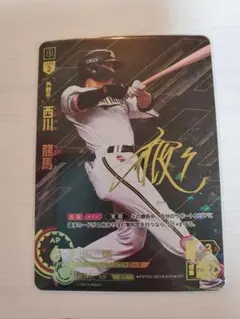 2026年最新】ドリームオーダー sspの人気アイテム - メルカリ