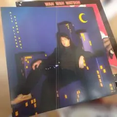 GINGER ROOT CITY SLICKER LP - メルカリ