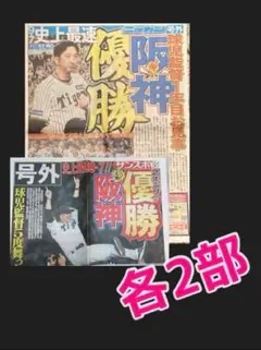 阪神タイガース　2025年優勝　ニッカン　サンスポ　　号外　２紙各２部　藤川球児
