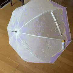 Disney アナと雪の女王 雨傘 長傘